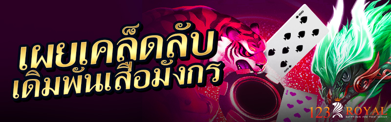 เผยเคล็ดลับเดิมพันเสือมังกร